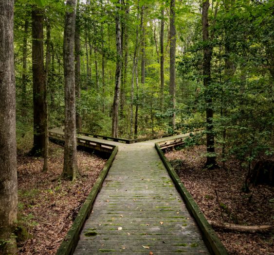 things to do for destination